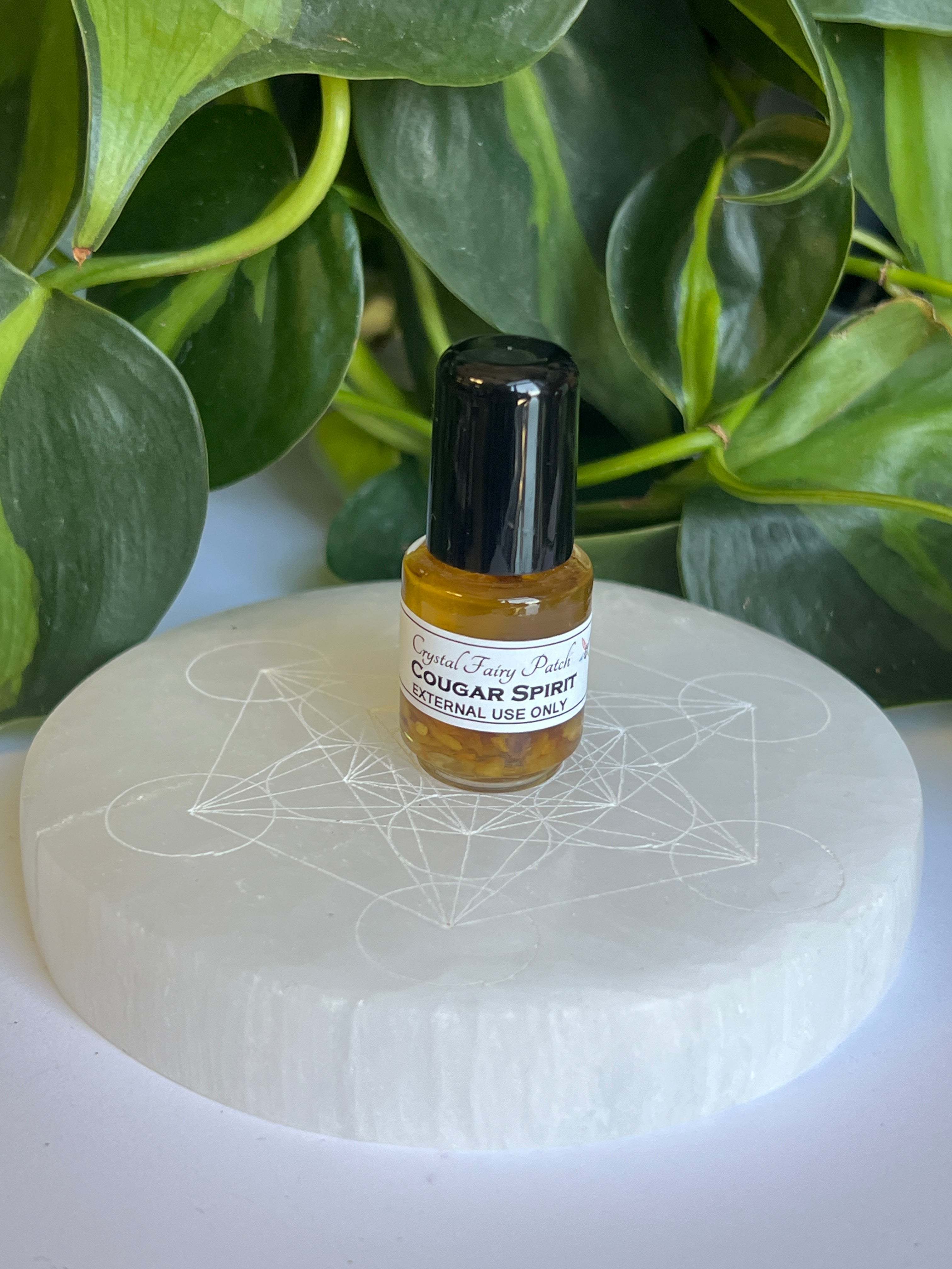 Cougar Spirit Oil