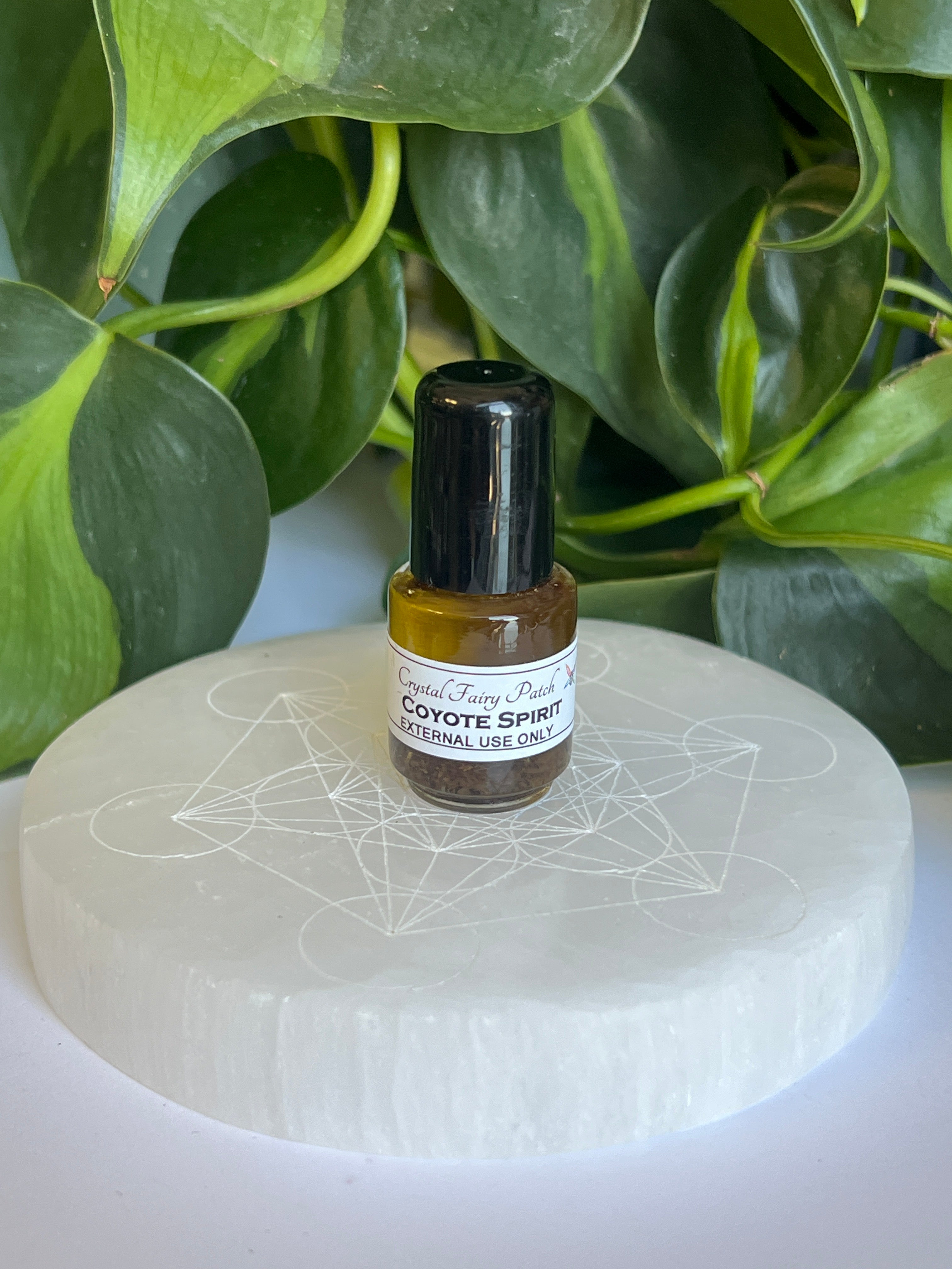 Coyote Spirit Oil