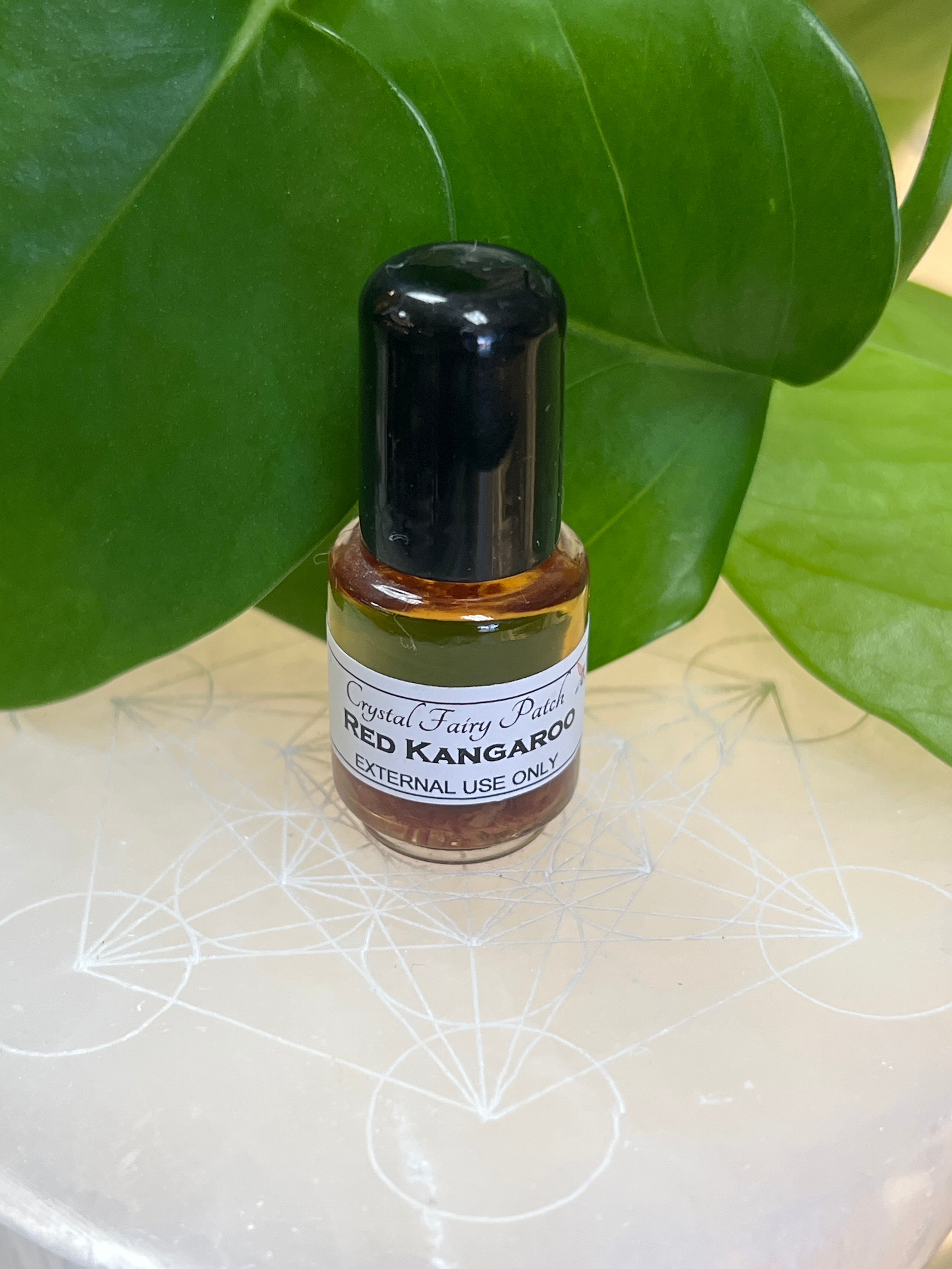 Red Kangaroo Oil – Aries