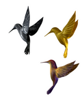 Hummingbird Spirit Animal