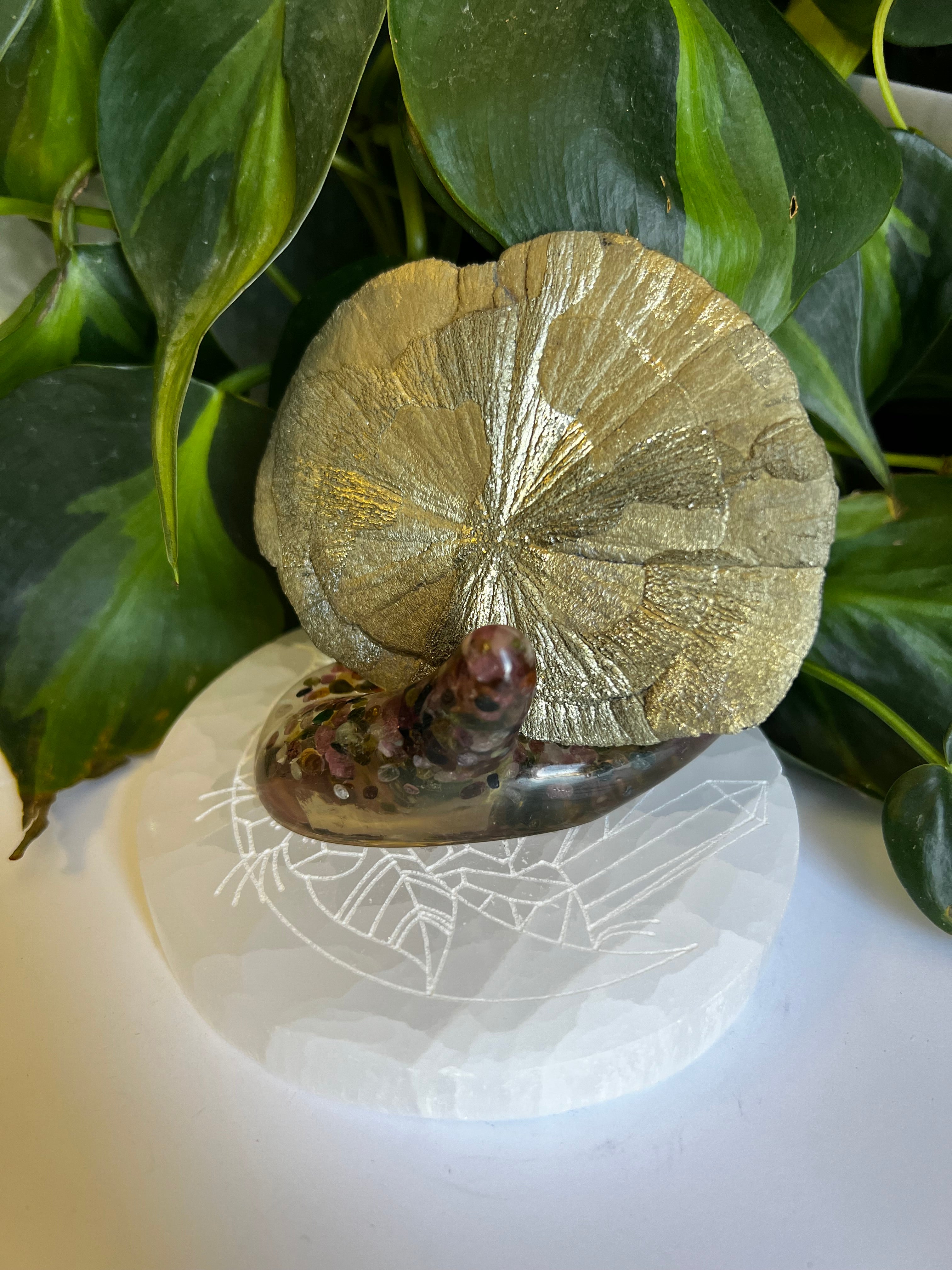 Organite Hand Holder Mixed Assortment