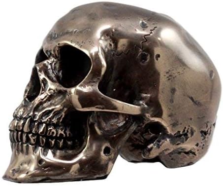 Small Bronzed Skull Statue — Bronze Powder Resin Figurine