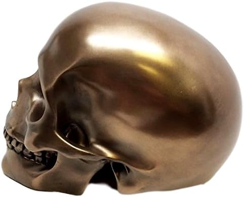 Bronzed Skull Statue Skeleton Figurine