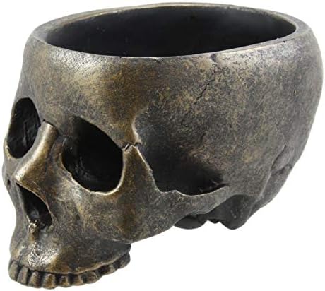 Bronze Patina Skull Bowl