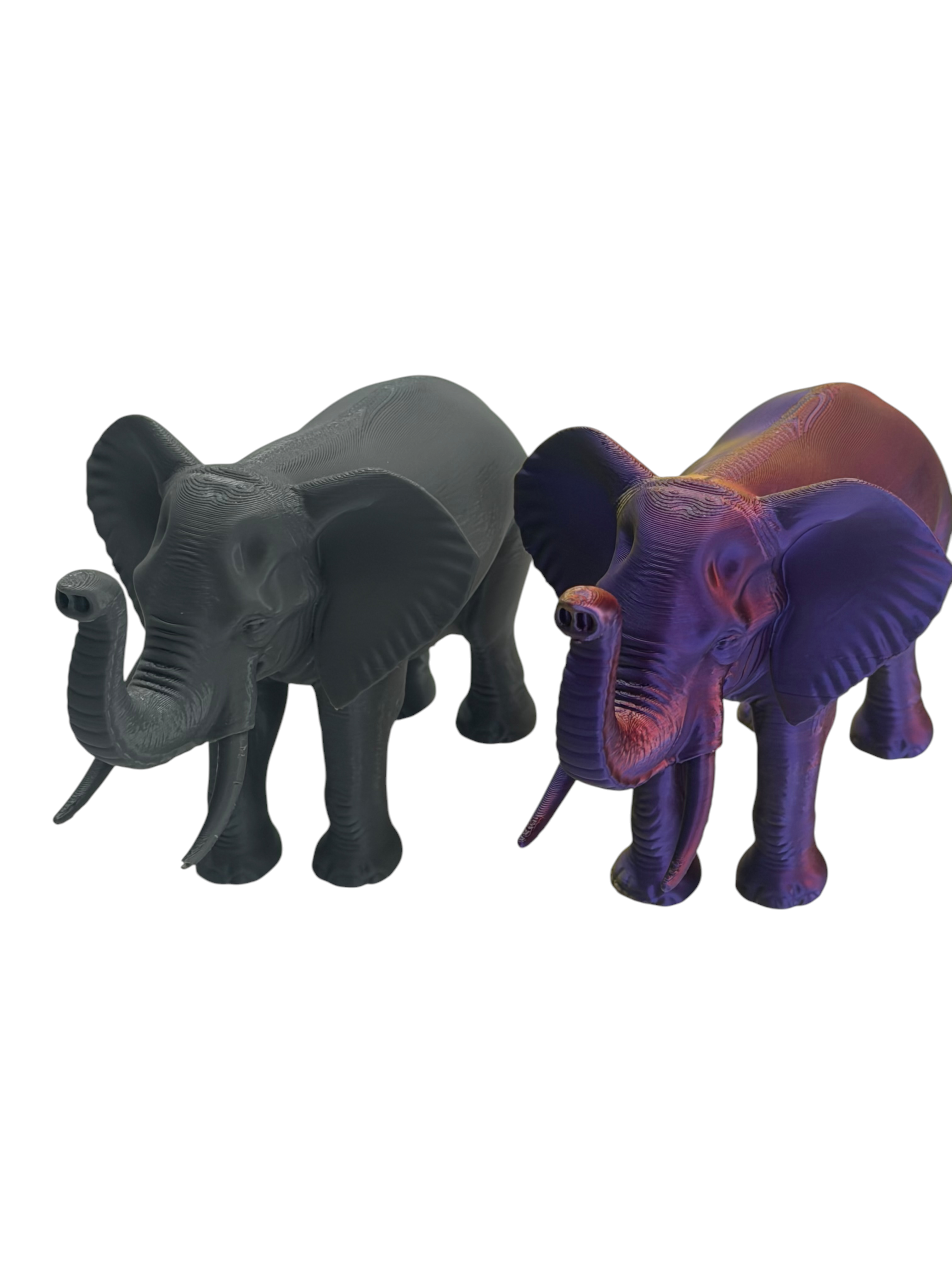 Elephant Spirit Animal