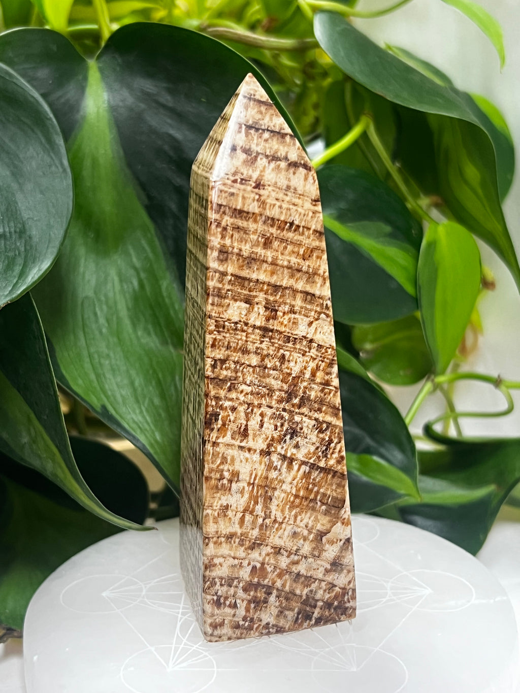 Aragonite Tower