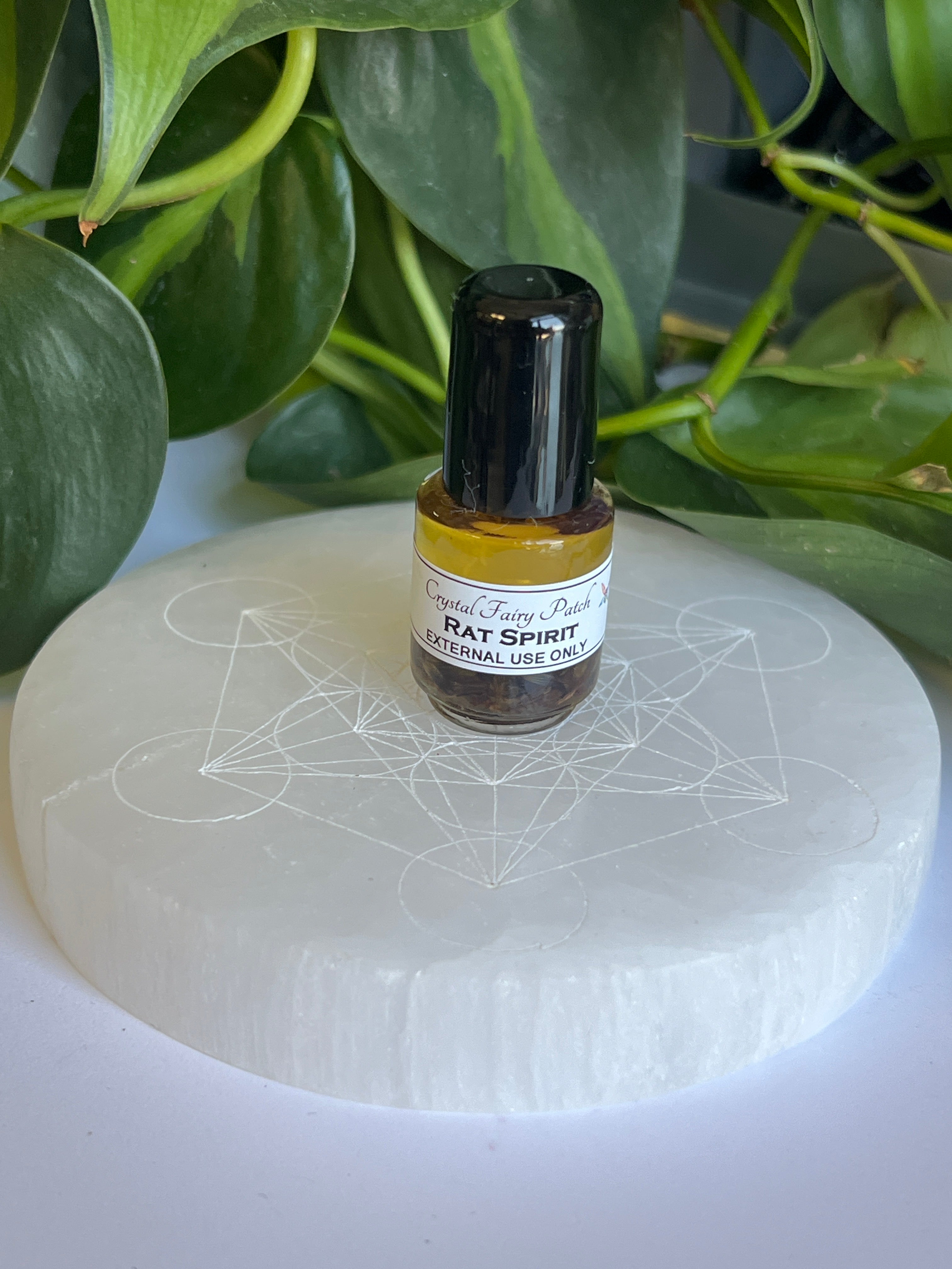 Rat Shamanic Oil