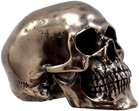 Small Bronzed Skull Statue — Bronze Powder Resin Figurine