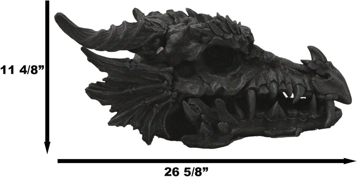 Oversized Black Dragon Skull with Horns - Faux Fossil Decor