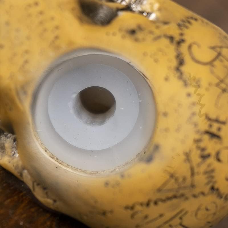 Alchemist Omega Skull Gear Shift Knob & Paperweight