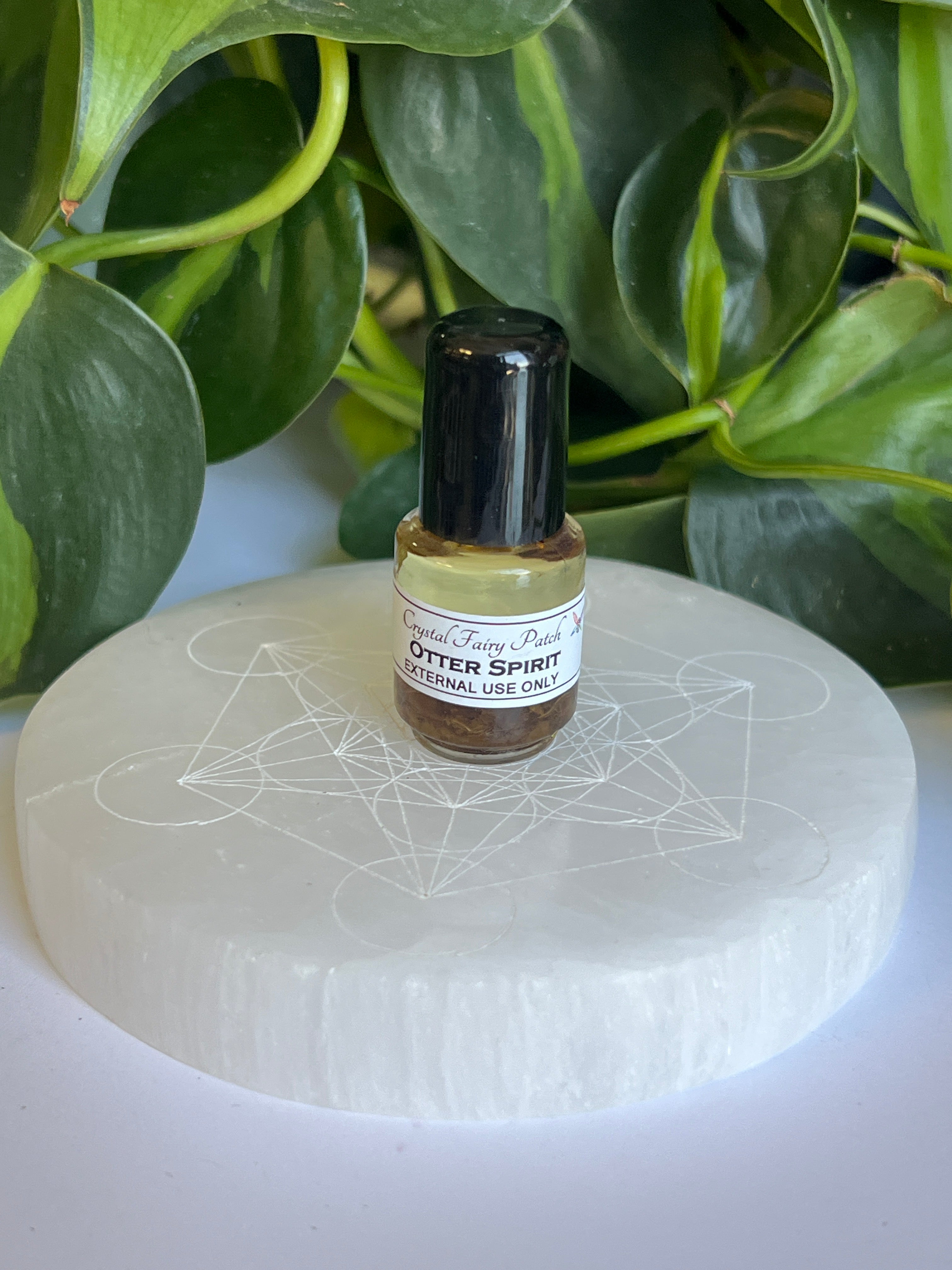 Otter Spirit Oil
