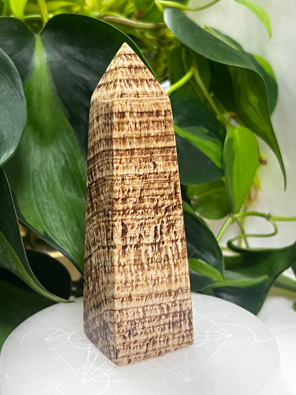Aragonite Tower