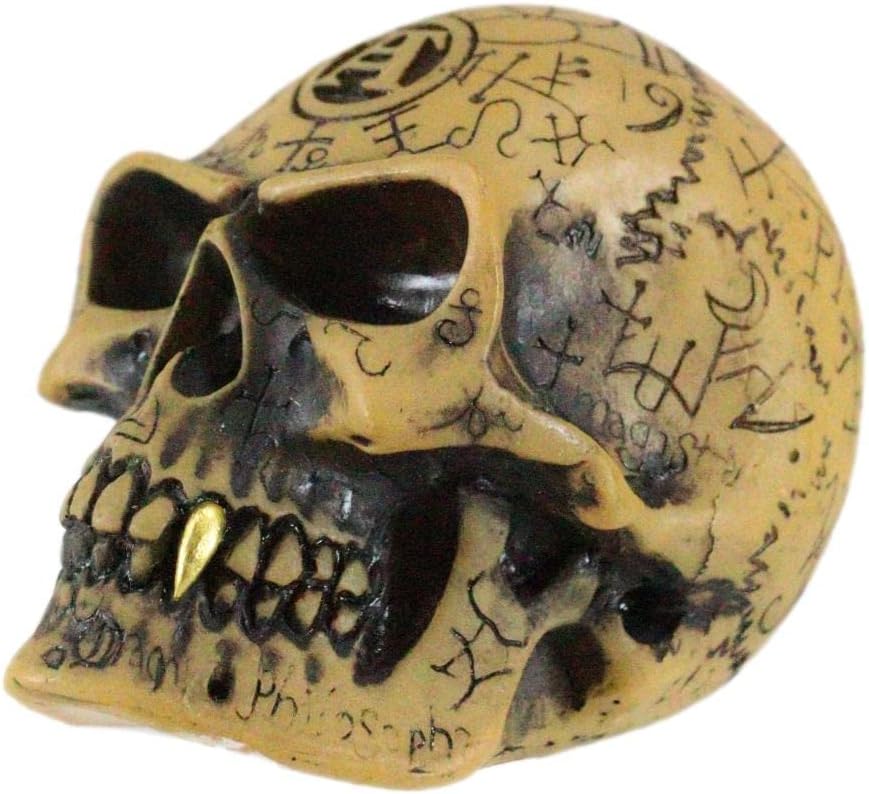 Alchemist Omega Skull Gear Shift Knob & Paperweight