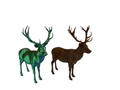 Deer Spirit Animal