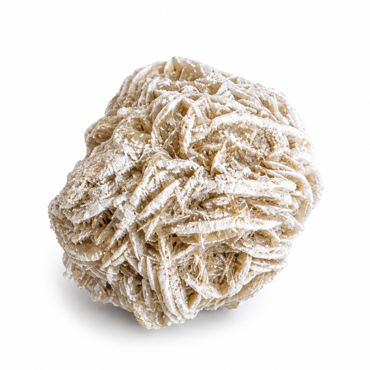 Desert rose