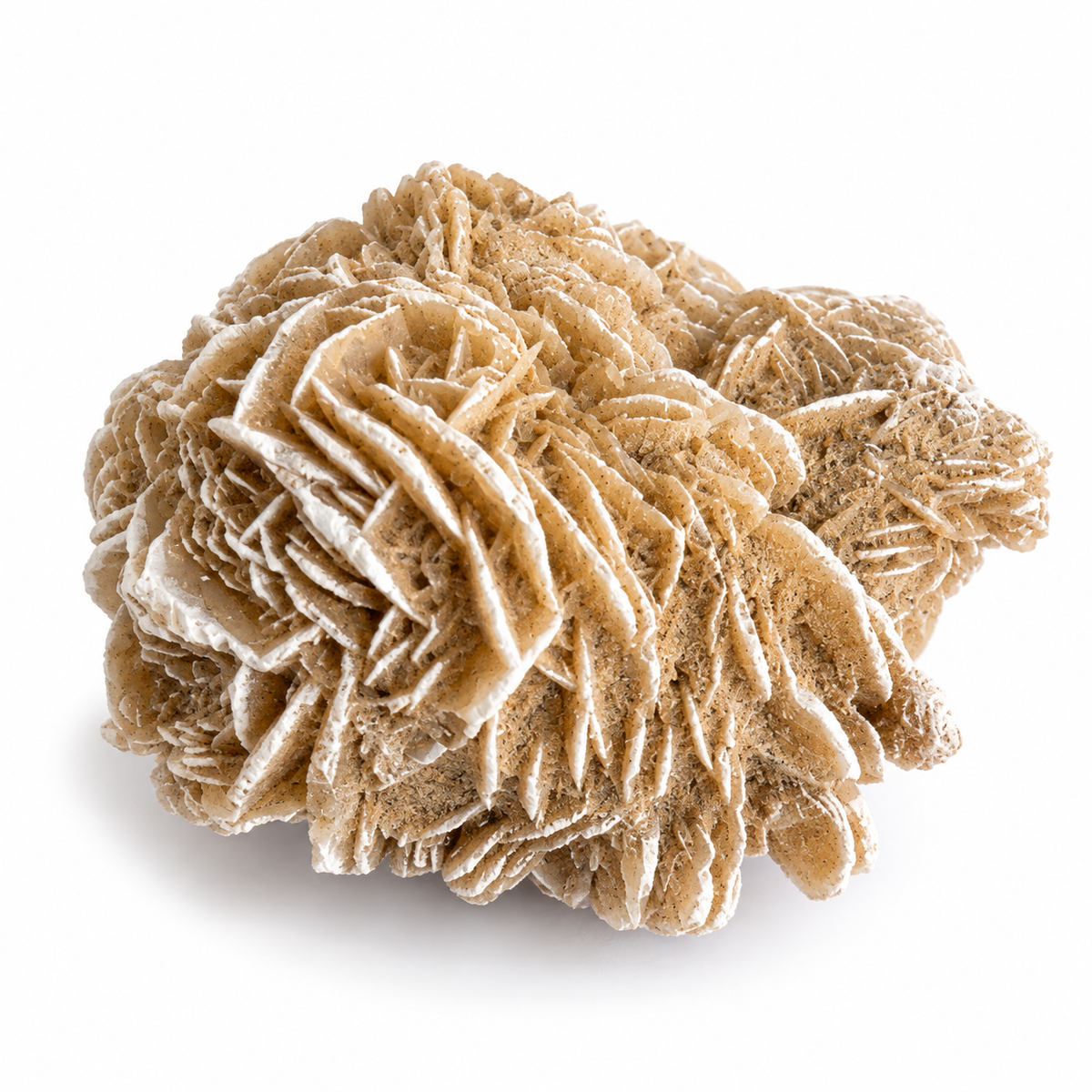 Desert rose