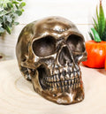 Small Bronzed Skull Statue — Bronze Powder Resin Figurine