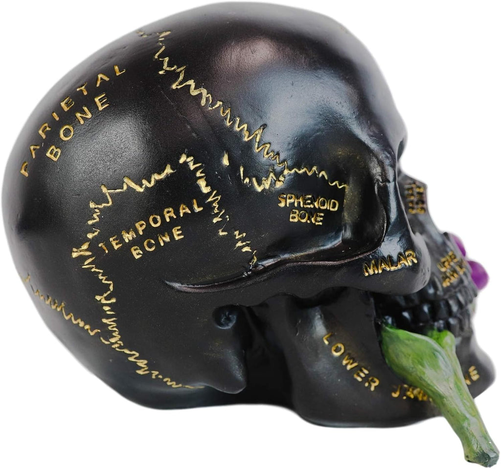 Paranormal Anatomy Skull with Purple Flowers Figurine