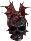 Red Dragon on Skull Figurine & Storage Box