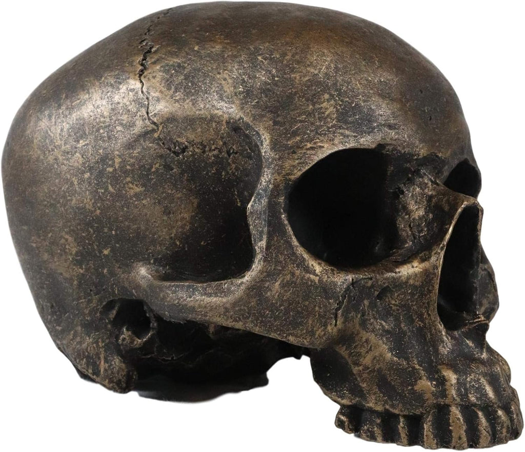 Rust Gold Half-Jaw Skull Figurine