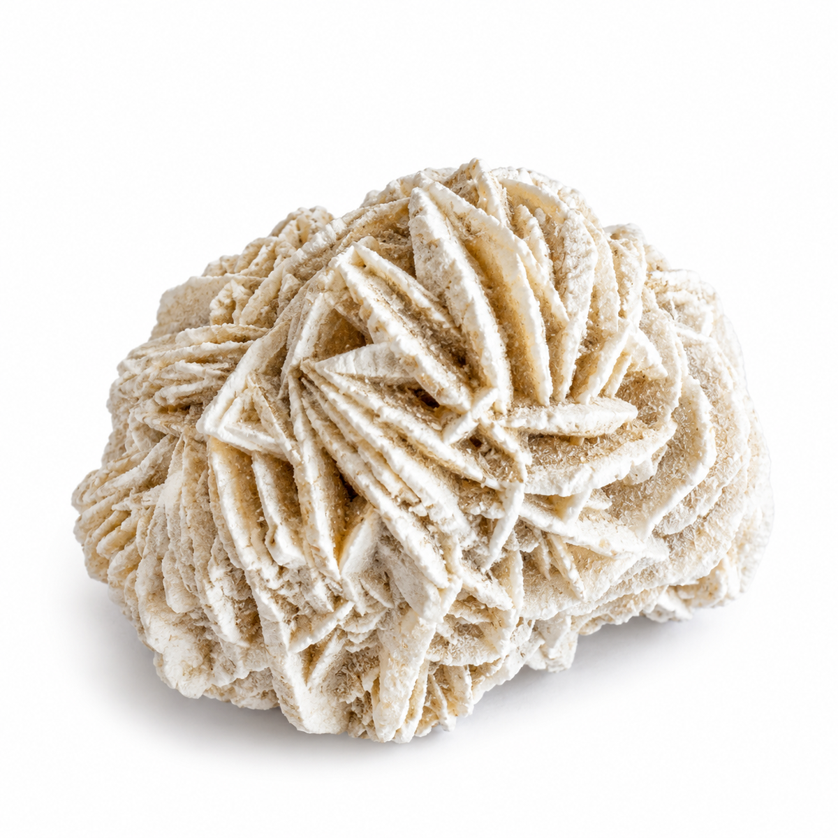 Desert rose