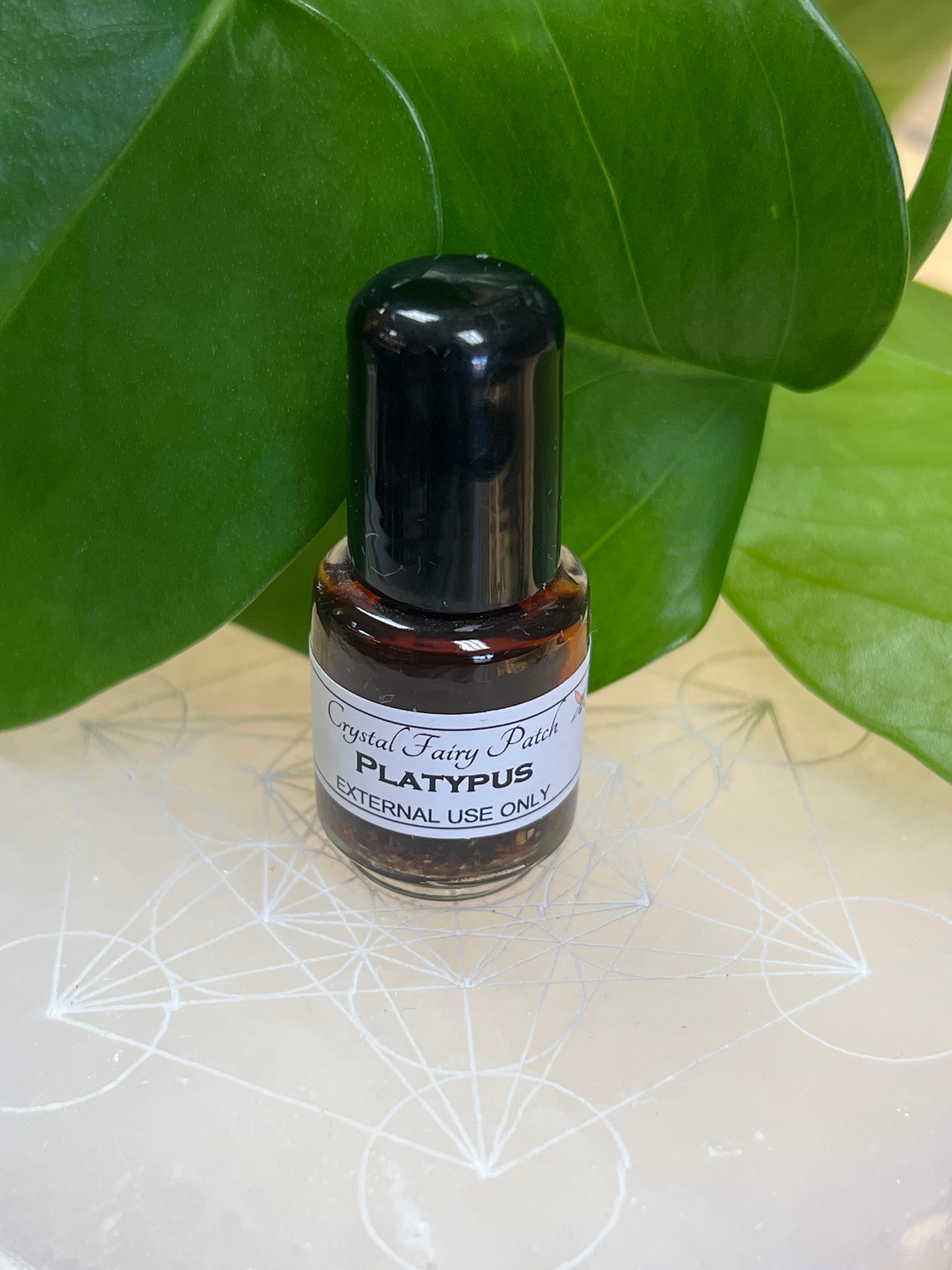 Platypus Oil – Pisces