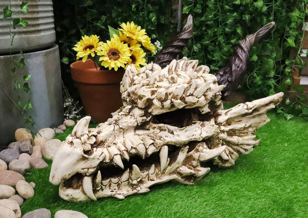 Oversized White Dragon Skull with Horns - Faux Fossil Decor