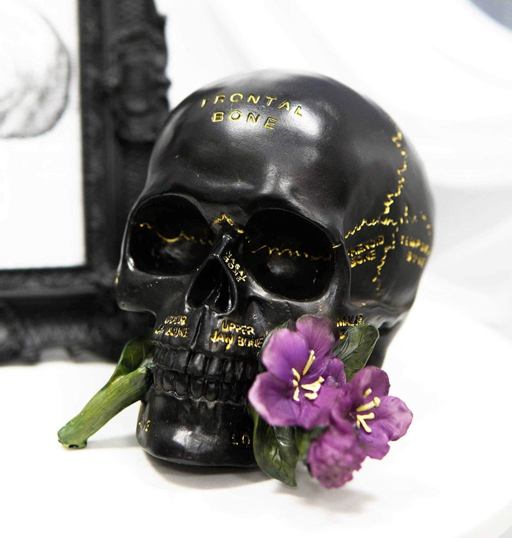 Paranormal Anatomy Skull with Purple Flowers Figurine