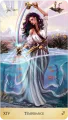 Stardust Wanderer Tarot