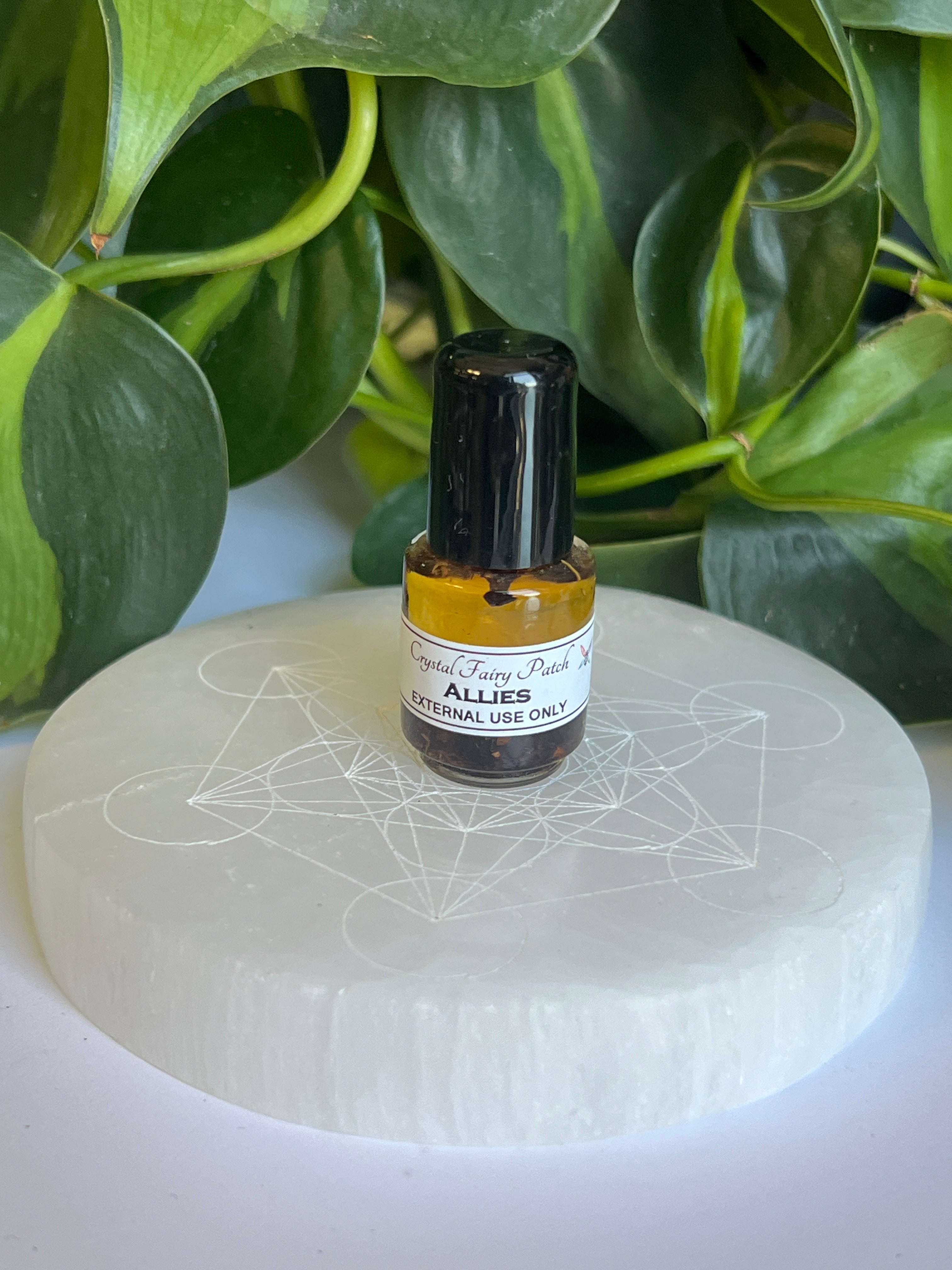 Allies Oil