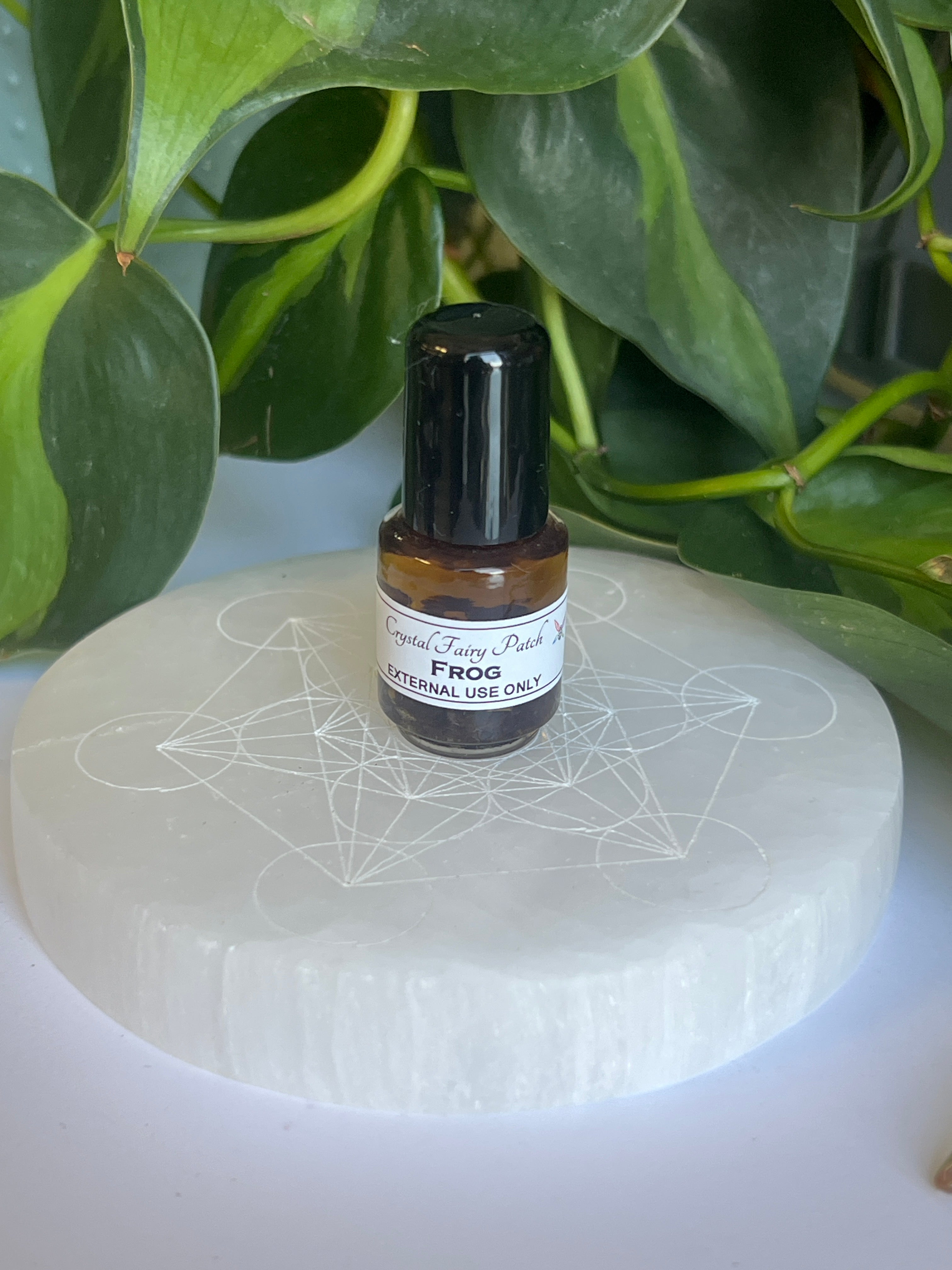 Frog Spirit Oil