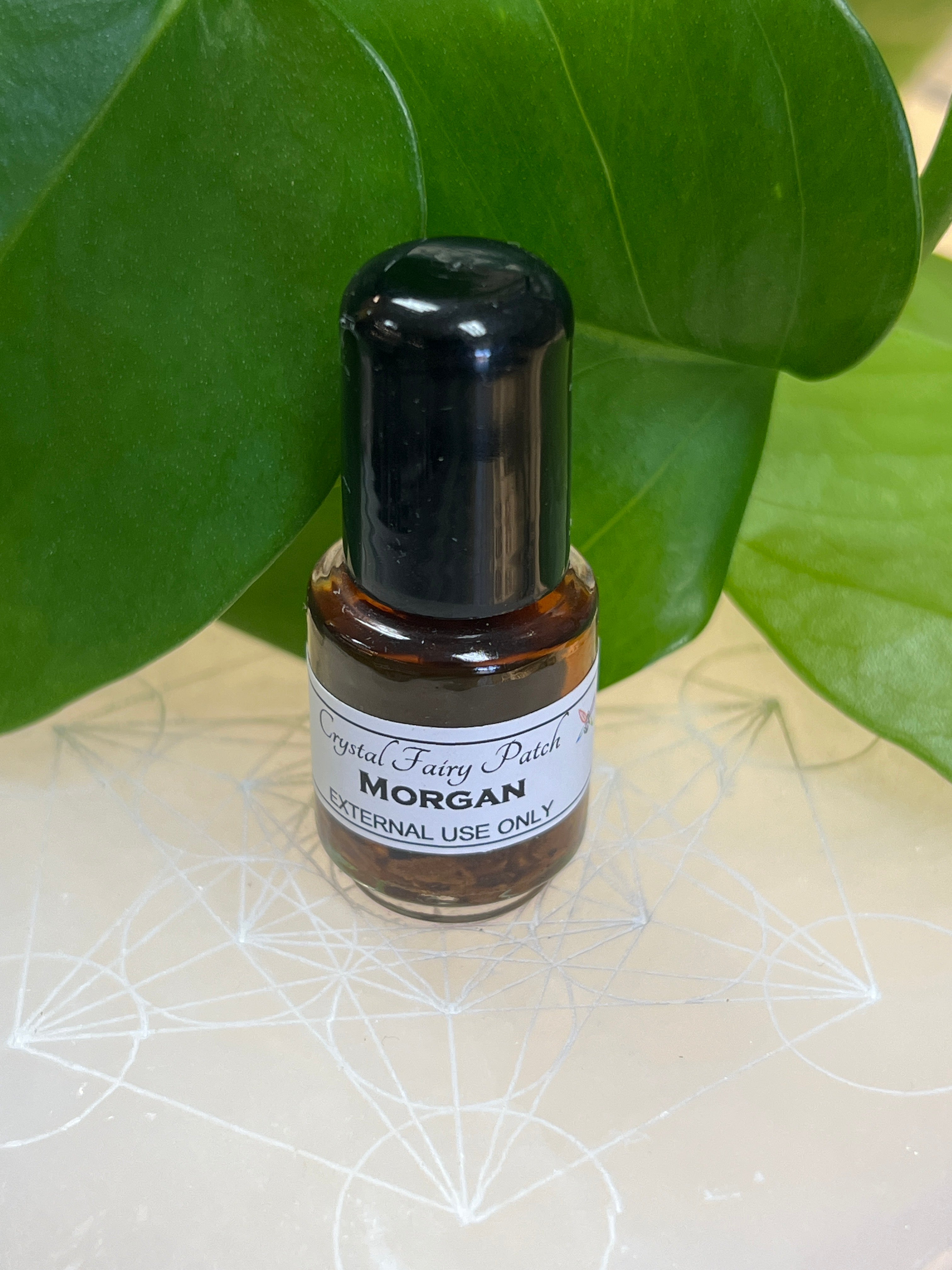 Morgan Oil