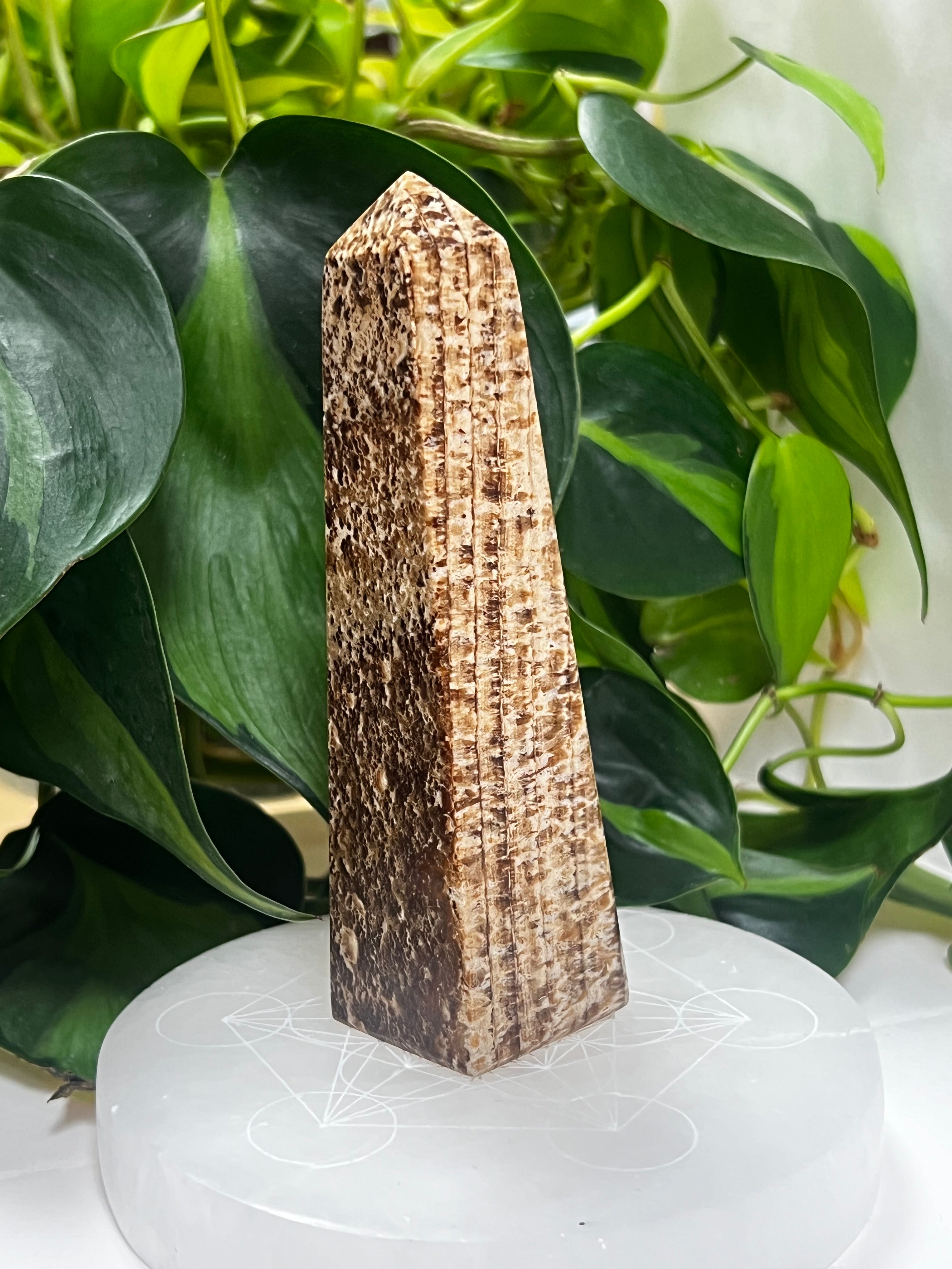 Aragonite Tower