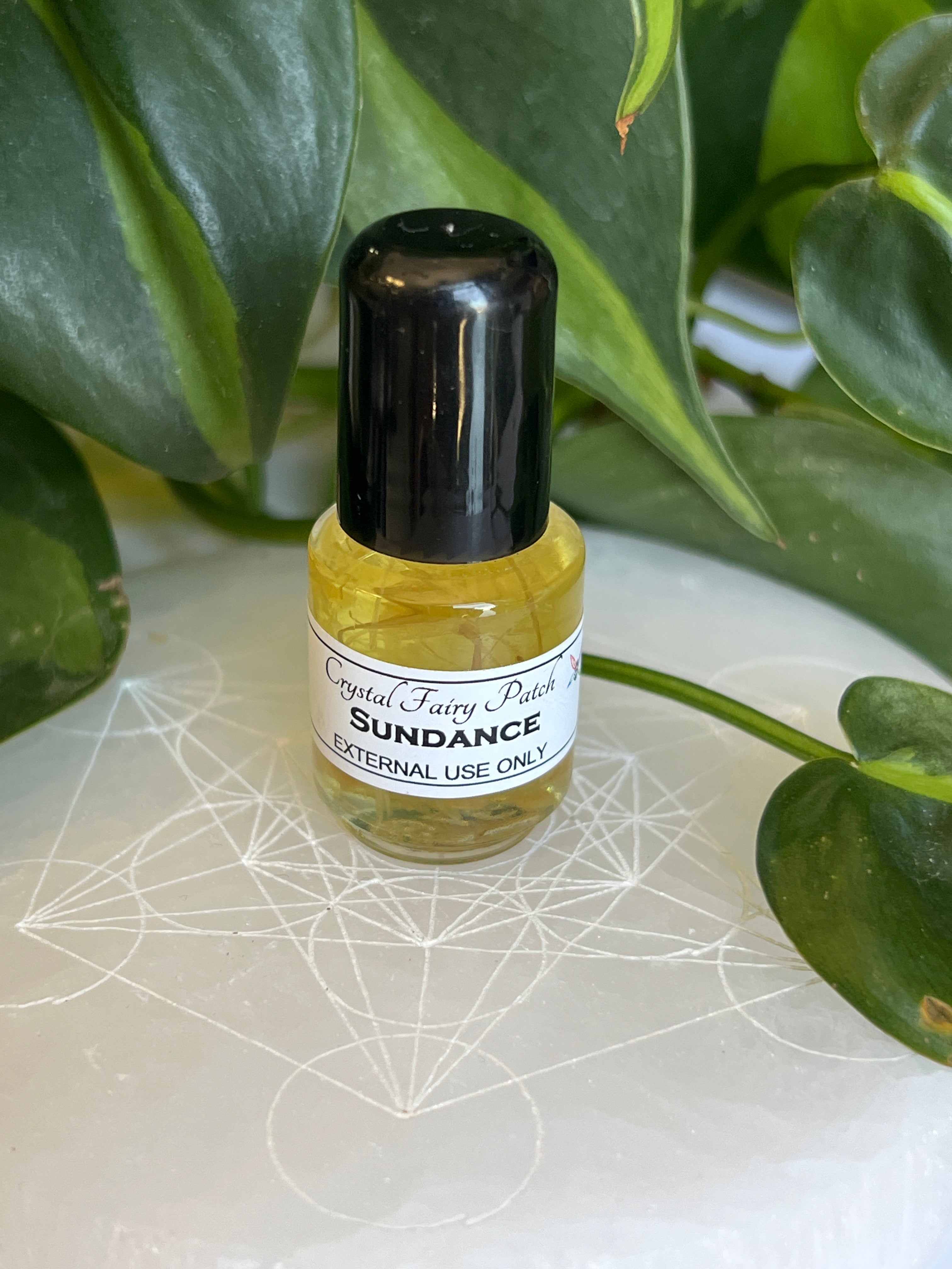 Sundance Oil