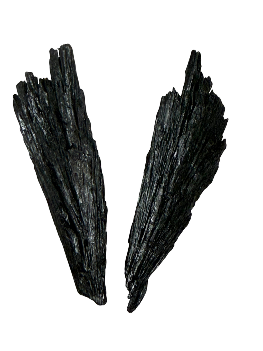 Black Kyanite Fans