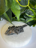 Raw Black Kyanite