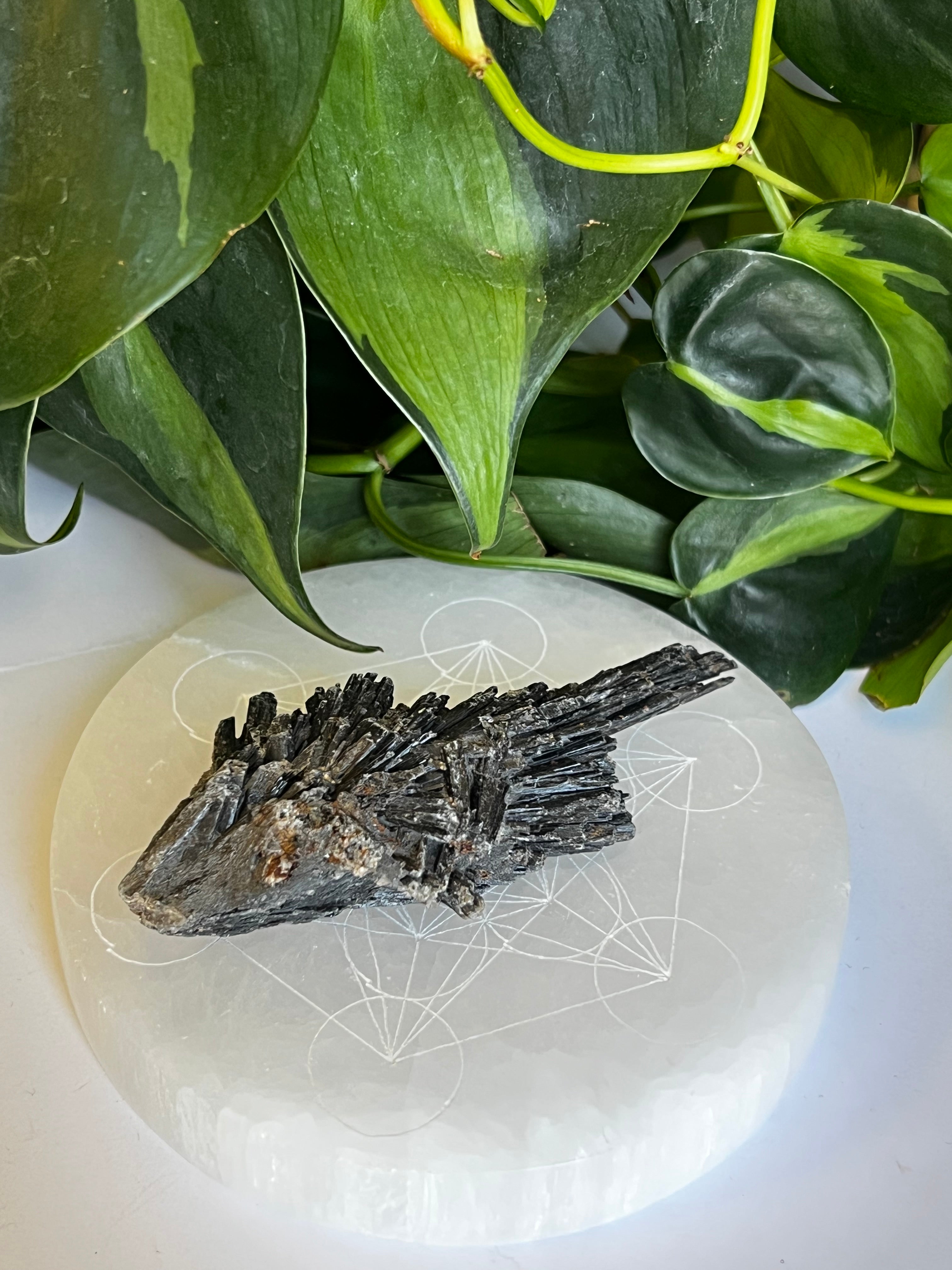 Raw Black Kyanite