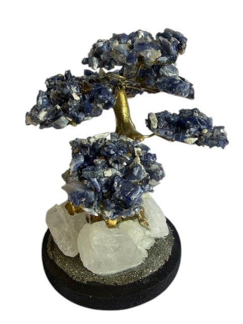 Crystal Fairy Patch Sodalite bonsai tree with blue crystal leaves, golden trunk, and a quartz and pyrite-coated base.
