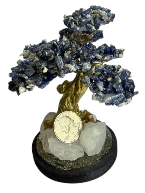 Crystal Fairy Patch Sodalite bonsai tree with blue crystal leaves, golden trunk, and raw quartz and pyrite base on black stand.