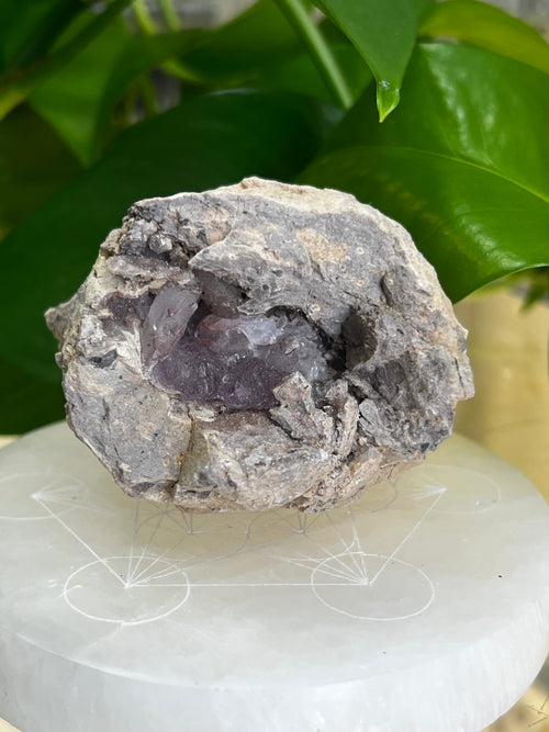 Amethyst Geode
