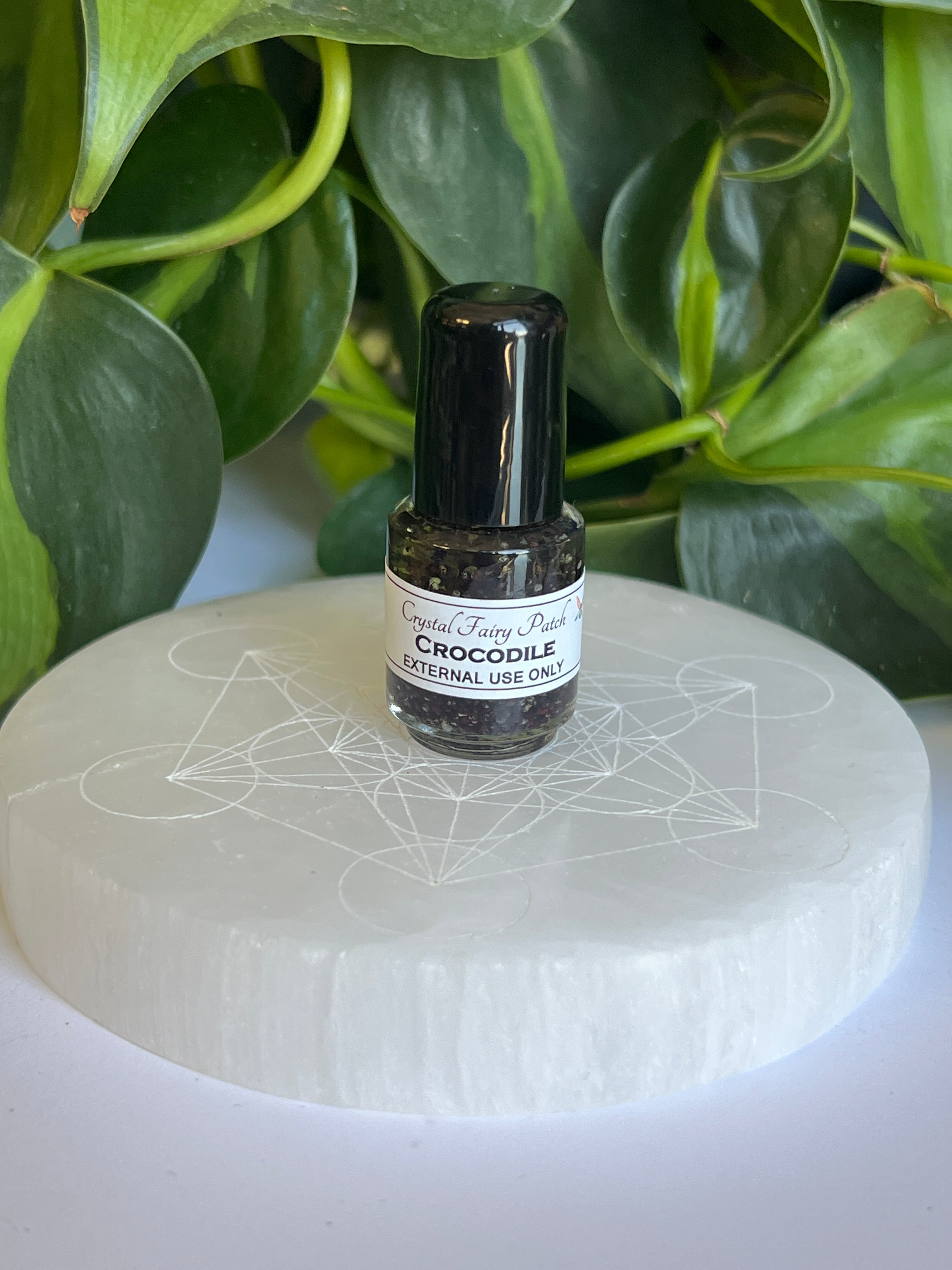 Crocodile Spirit Oil