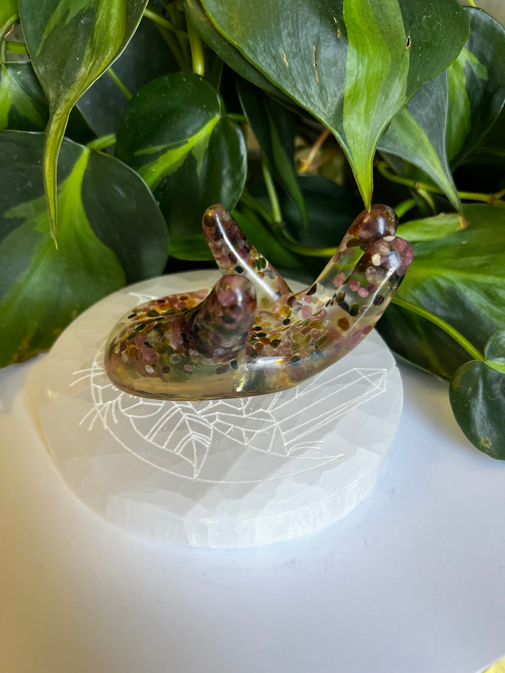 Organite Hand Holder Mixed Assortment
