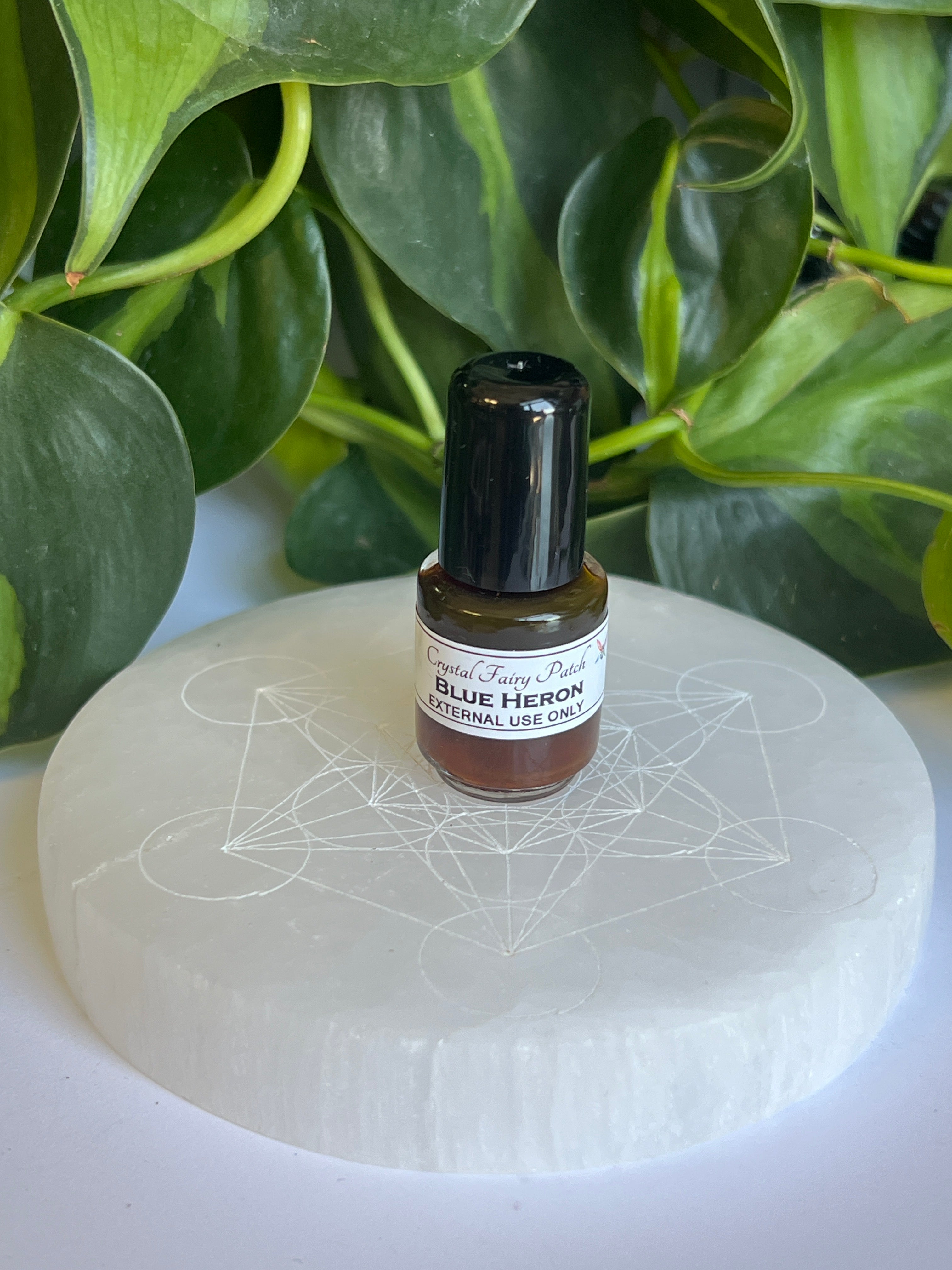 Blue Heron Spirit Oil