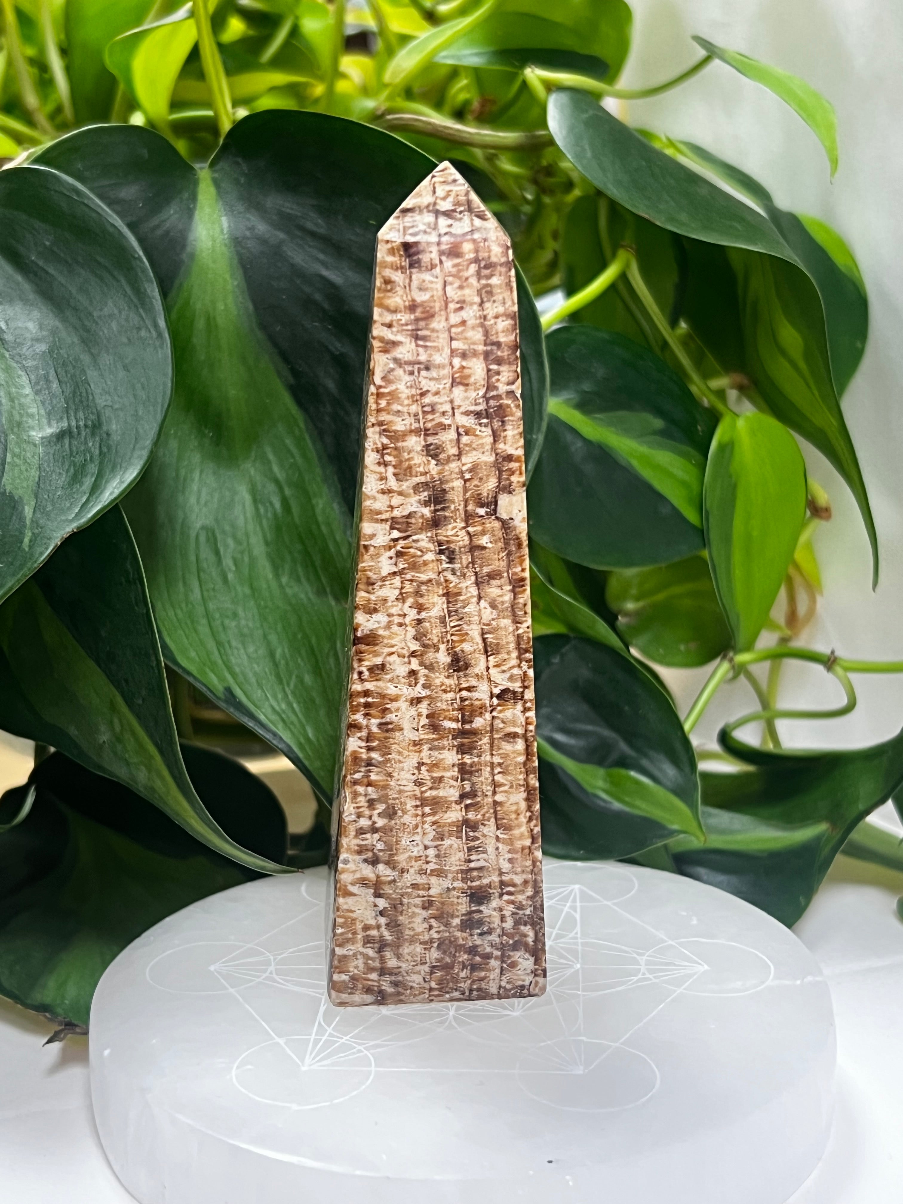 Aragonite Tower