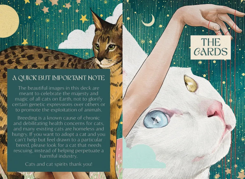 Ask the Feline Sages: Wisdom From Our Cherished Cats