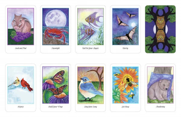 Higher Intuitions Oracle : (Oracle Kit Box Set with 44 Cards and Guide Book)