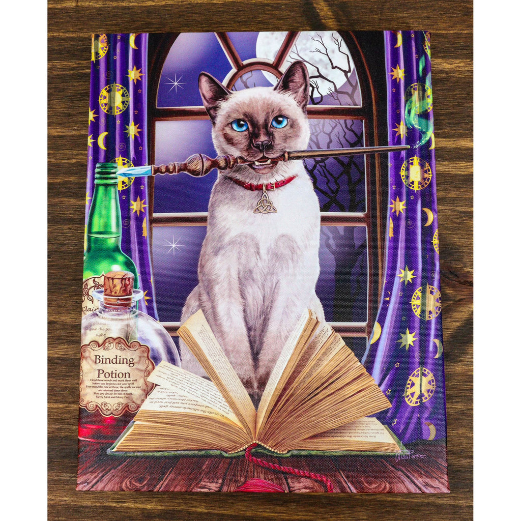 Hocus Pocus Magic Wand Cat With Spellbook Canvas Framed Wall Art Wall Plaque - Anne Stokes - 7.5" W x 9.85"