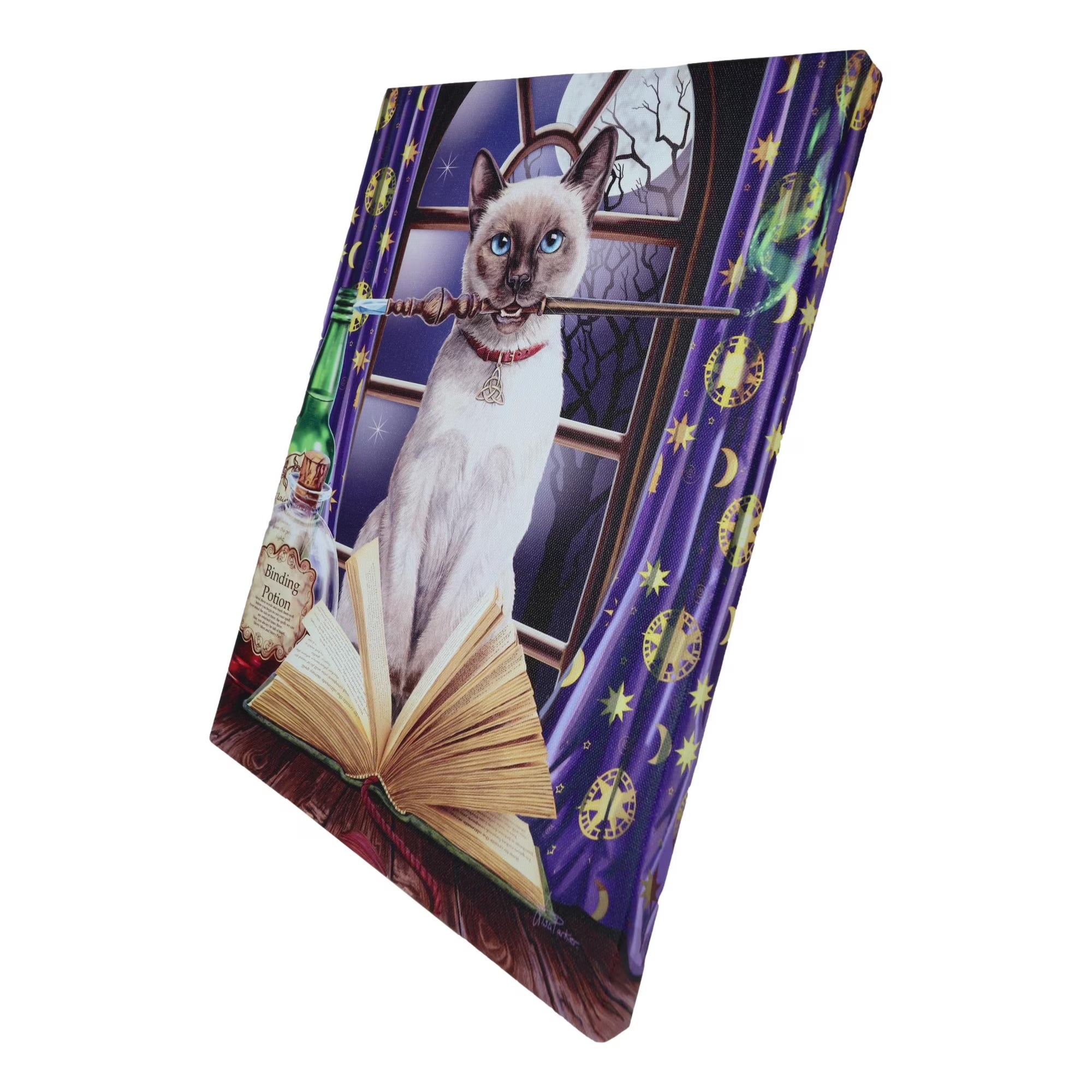 Hocus Pocus Magic Wand Cat With Spellbook Canvas Framed Wall Art Wall Plaque - Anne Stokes - 7.5" W x 9.85"