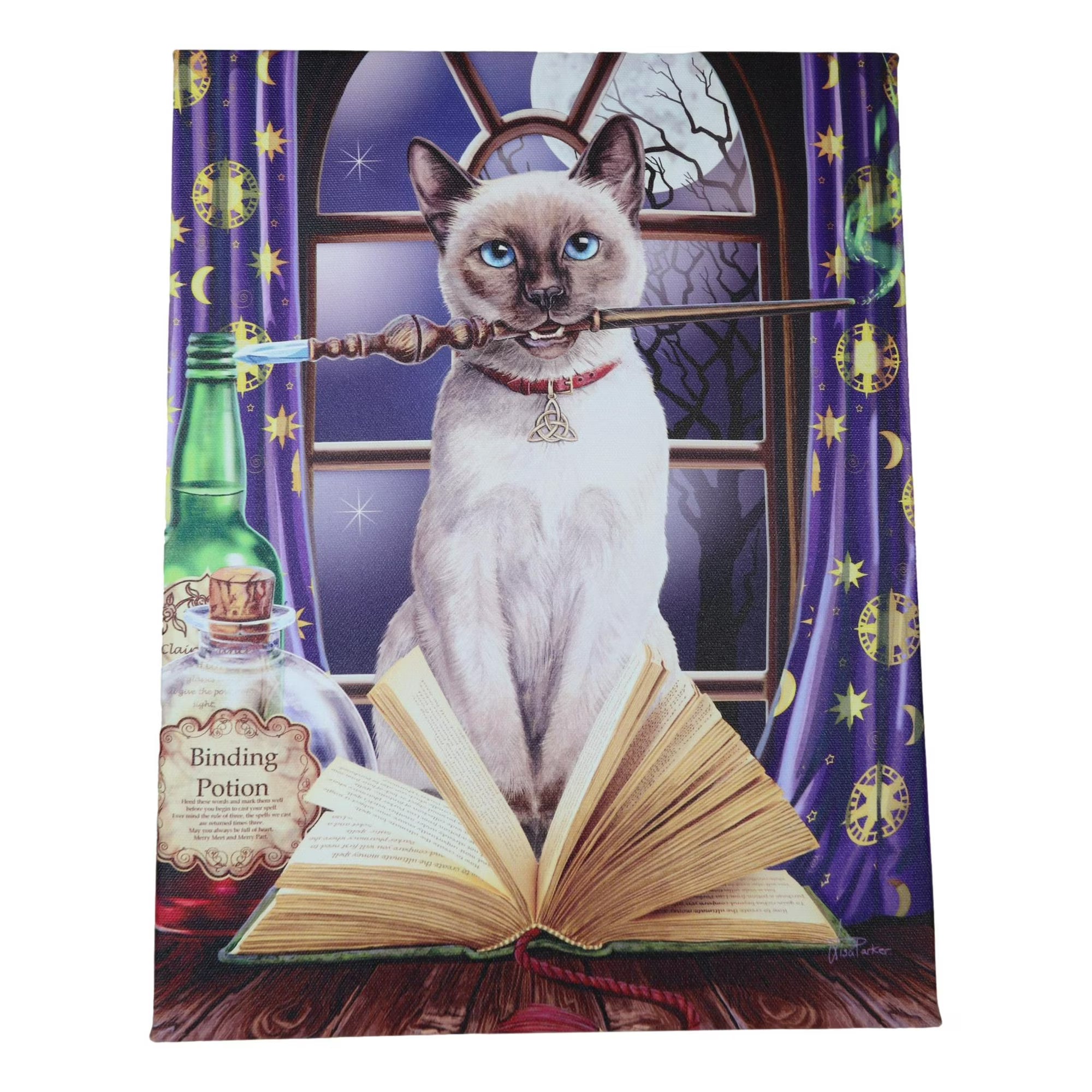 Hocus Pocus Magic Wand Cat With Spellbook Canvas Framed Wall Art Wall Plaque - Anne Stokes - 7.5" W x 9.85"
