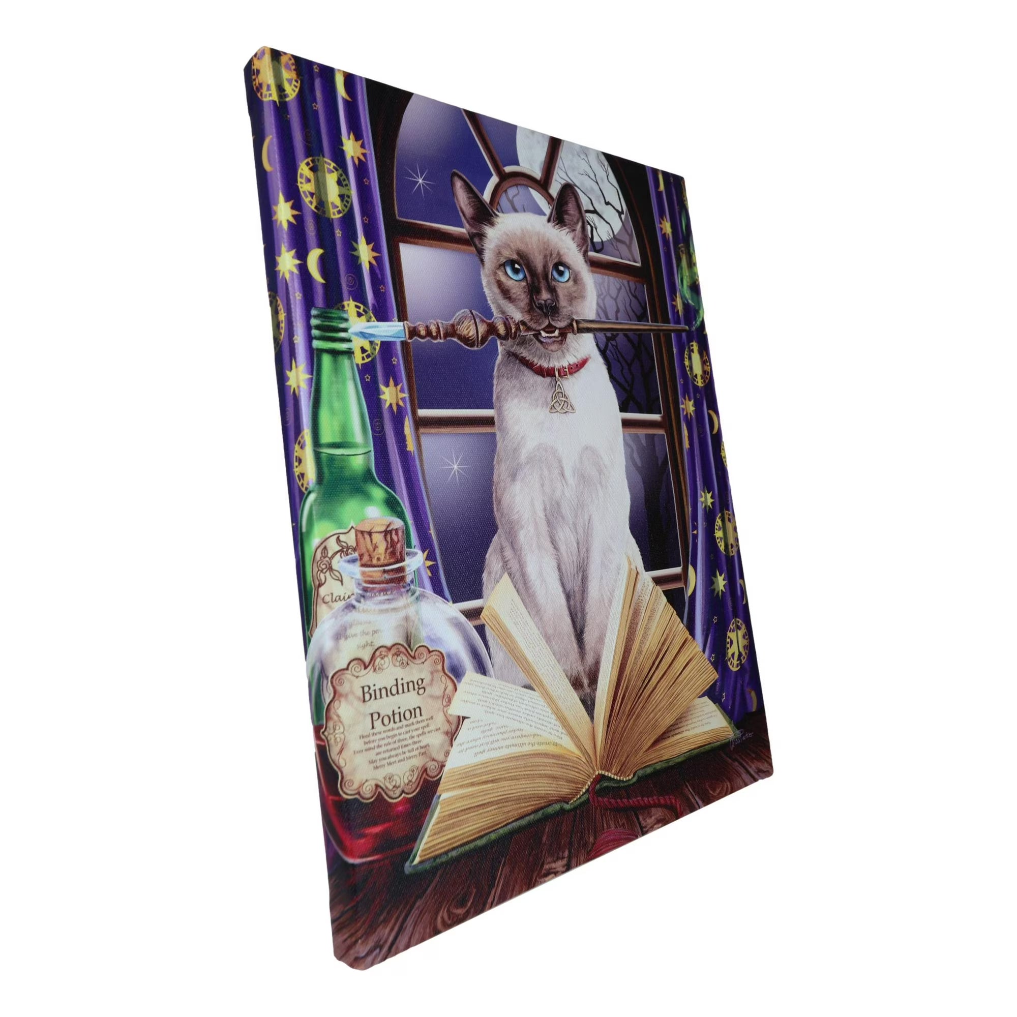 Hocus Pocus Magic Wand Cat With Spellbook Canvas Framed Wall Art Wall Plaque - Anne Stokes - 7.5" W x 9.85"